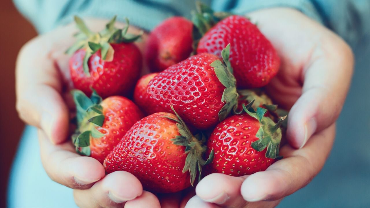 Ekologiska jordgubbar är nyttigast
